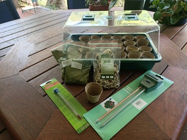 Large Moringa Growing Kit