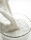 Moringa-More Calcium than Milk